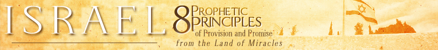 8 Prophetic Principles of Provision and Promise